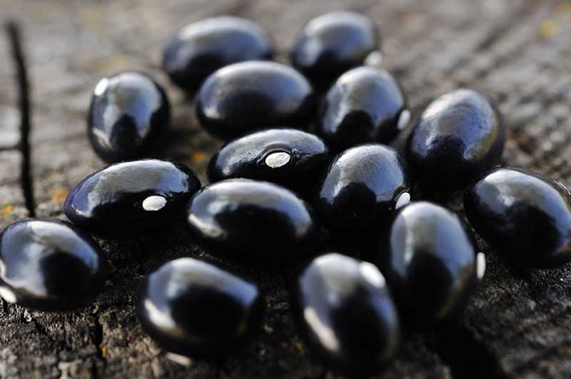 رژیم لاغری کربوهیدرات,black-beans-background-10-daily-habits-blast-belly-fat لوبیای سیاه