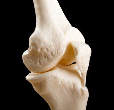 سلامت استخوان bone-joint