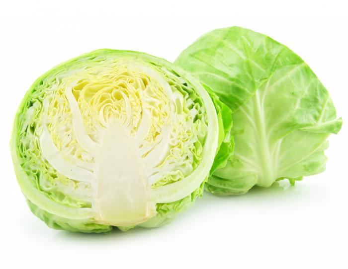 برگ کلم cabbage
