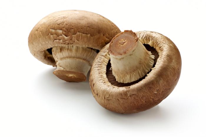 خواص قارچ mushrooms