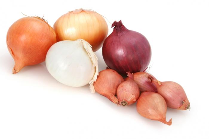 پیاز onions