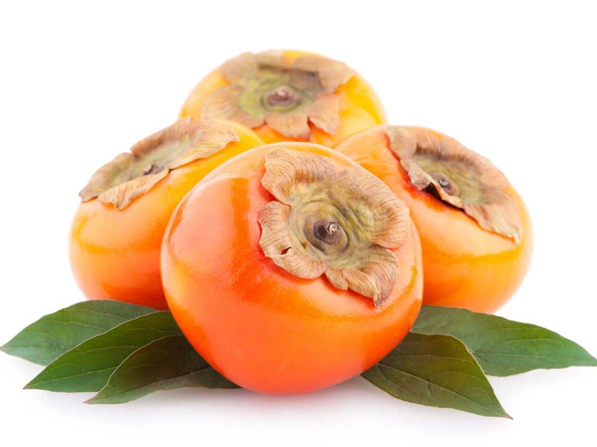 خرمالو persimmons