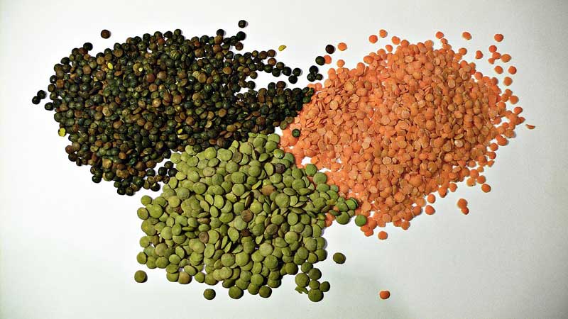 خواص انواع عدس types_of_lentil